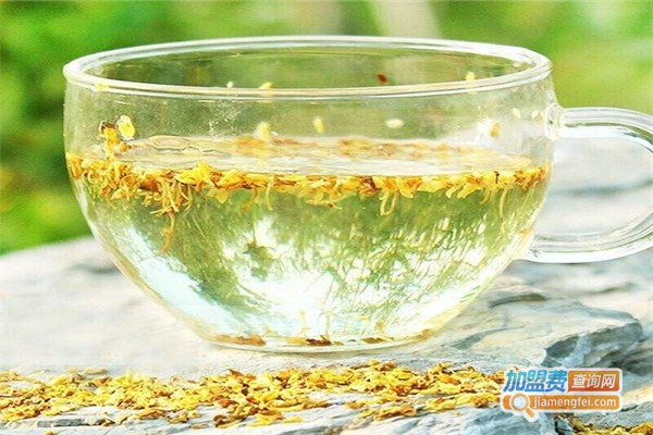 清霾润肺茶加盟费