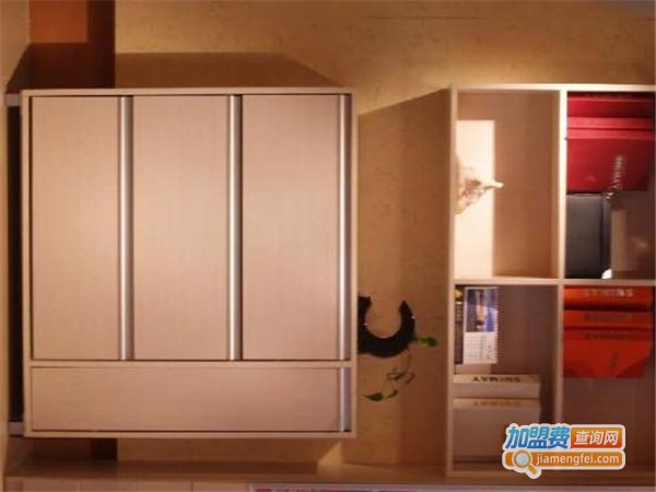 大古树衣柜加盟门店