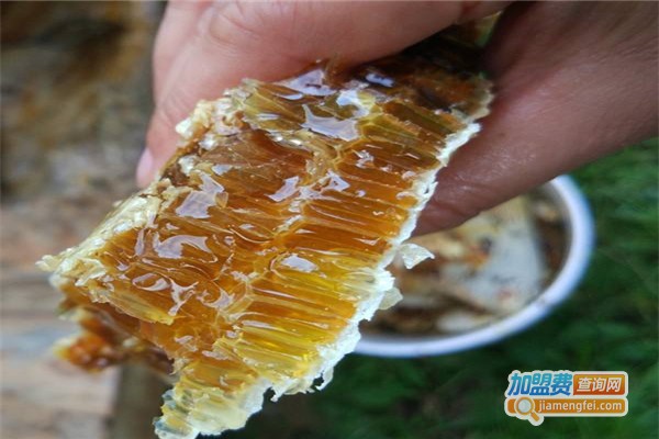 鲍记蜂蜜加盟费