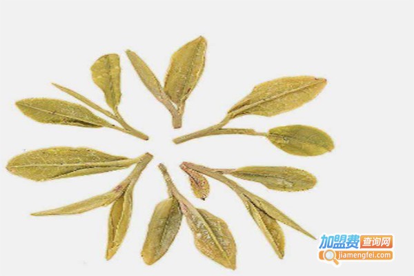 活力树健康甜茶加盟