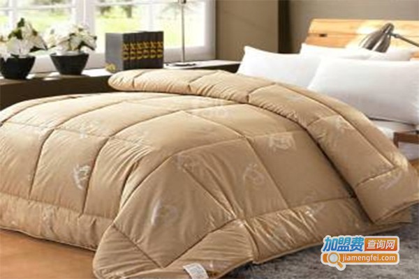 BESTCH百思佳加盟费