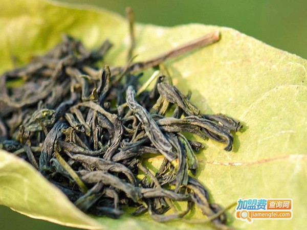 鄂尔泰普洱茶业加盟