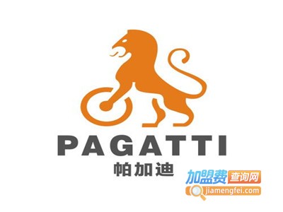帕加迪电动车