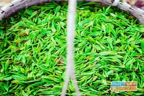 新凤鸣茶叶加盟费