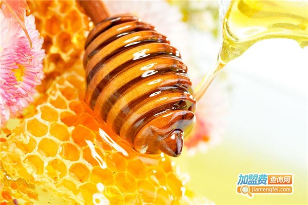 王与武蜂蜜加盟费