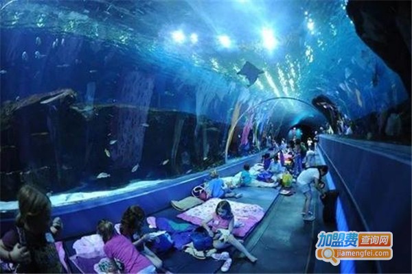 咏鸿水族鱼池过滤器加盟费