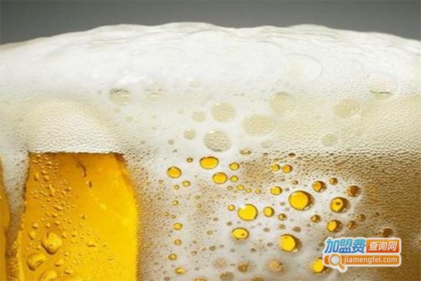 壹枝笔品牌啤酒加盟费