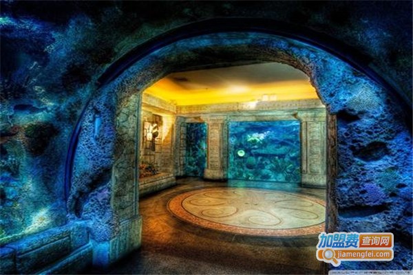 怡和水族制品加盟费