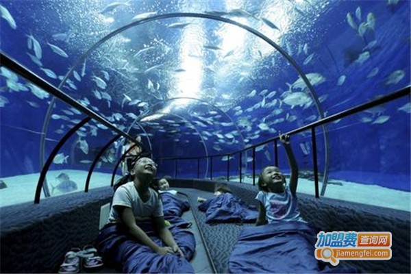 恒毅信水族用品加盟