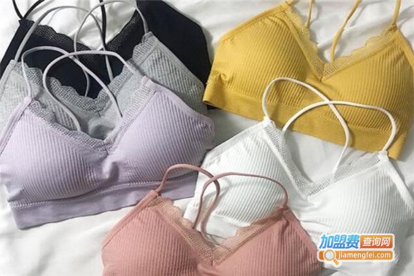 黛诗妮内衣加盟费