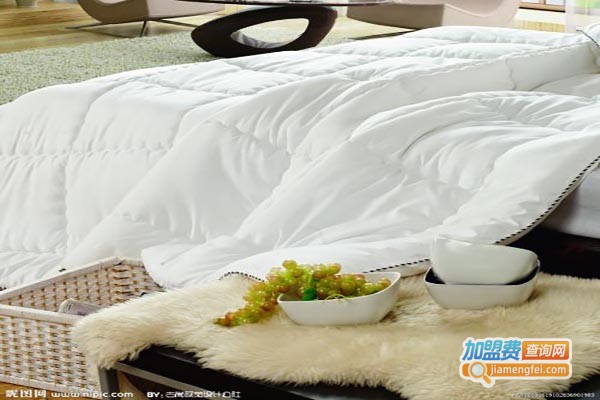 莱妮之恋加盟费