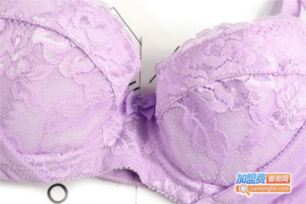 爱纳菲内衣加盟费