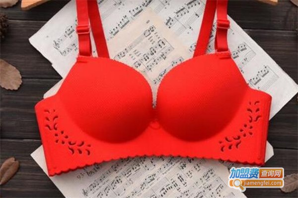 爱纳菲内衣加盟费