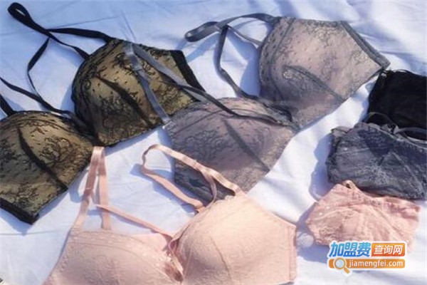 黛沛伲内衣加盟费