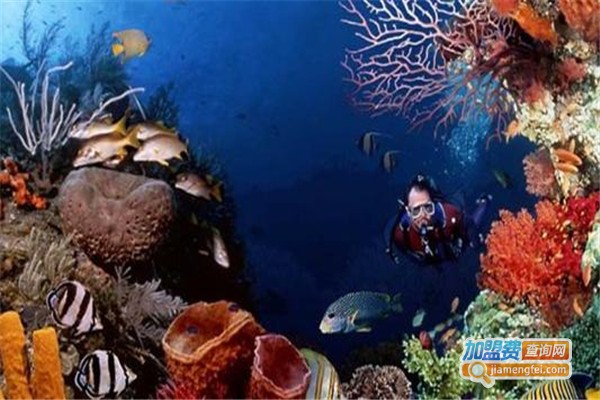 怡和水族制品加盟费