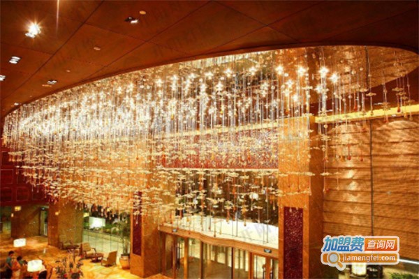 得诗灯饰加盟费