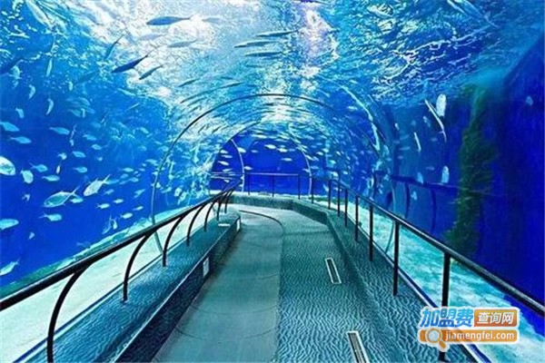 快鱼水族加盟费