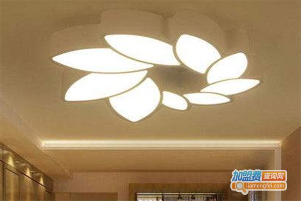 IDV国际电工加盟费