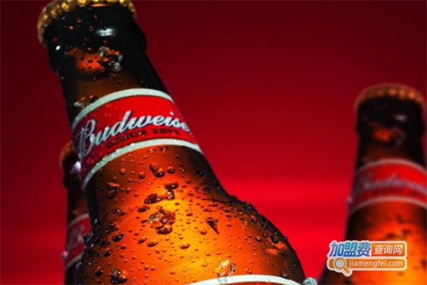 统治者啤酒加盟费