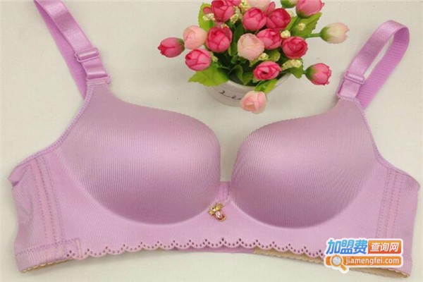 倩蒂内衣加盟费