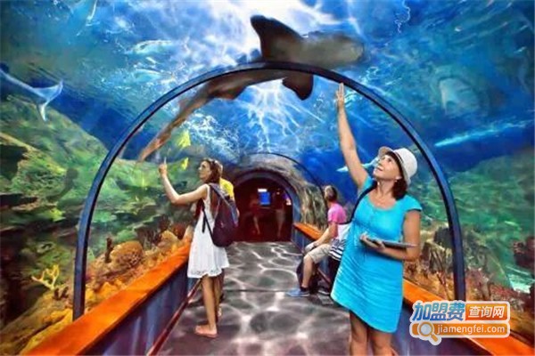 【精创水族馆加盟】开店加盟精创水族馆财源滚滚全家幸福！