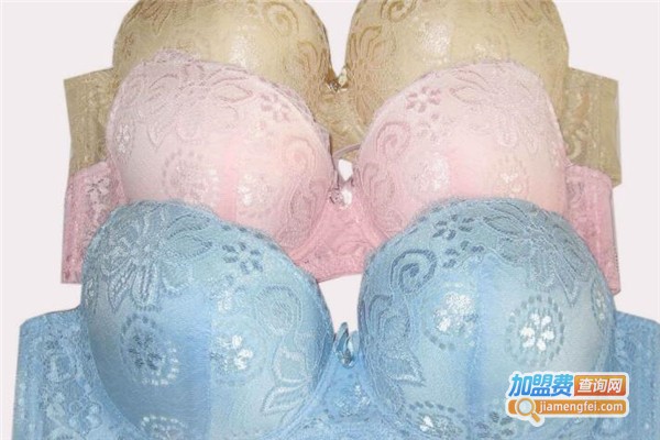 黛诗妮内衣加盟费