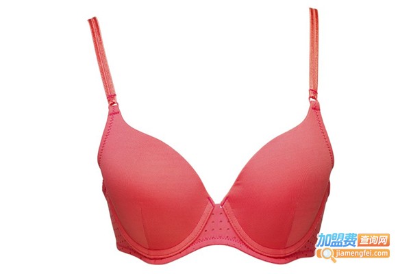 安德露内衣加盟费