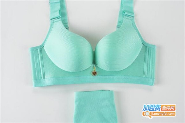 美惠美家内衣加盟费