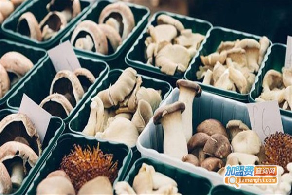 众兴食用菌加盟费