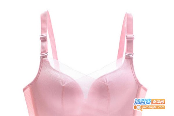 巧妇内衣加盟费