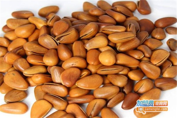 天线宝宝食品加盟费