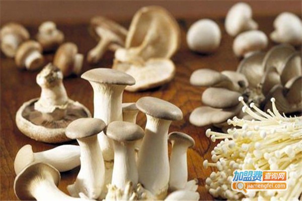 众兴食用菌加盟费