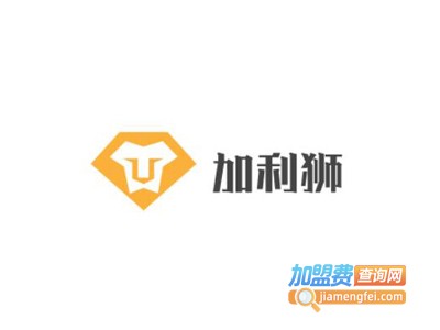 加利狮内衣