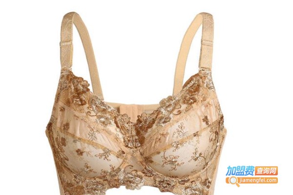 梦思仪内衣加盟费