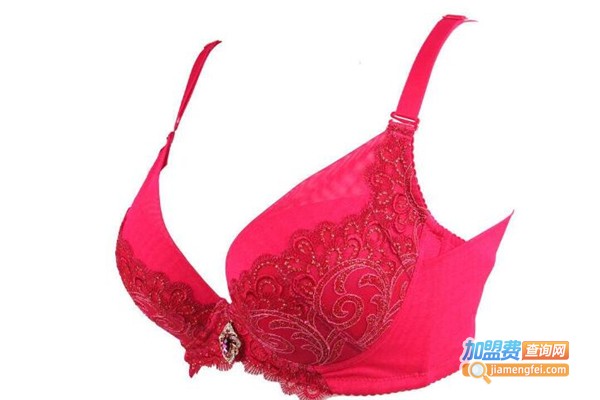 薇莉西雅内衣加盟费