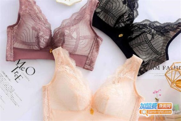 岱之青内衣加盟费