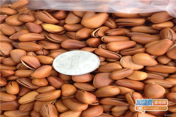 魔丽魔芋加盟费