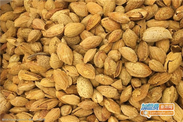 梅玩梅了加盟费