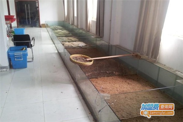 坤元8号土元加盟费