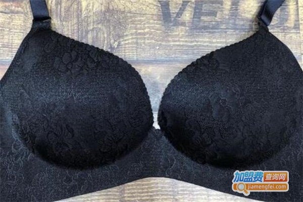 蓝苹果内衣加盟费