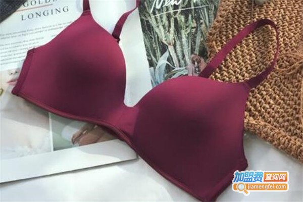 惠侬丝内衣加盟费