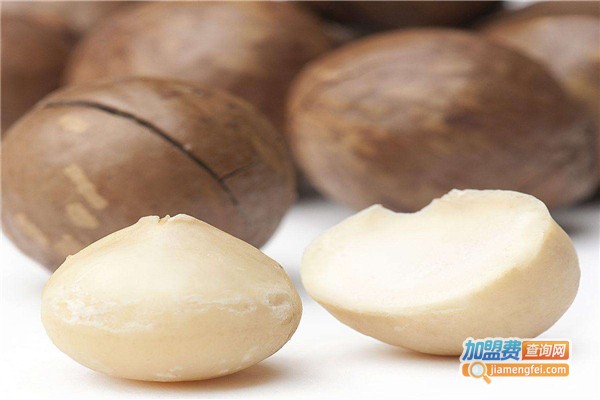 梅玩梅了加盟费