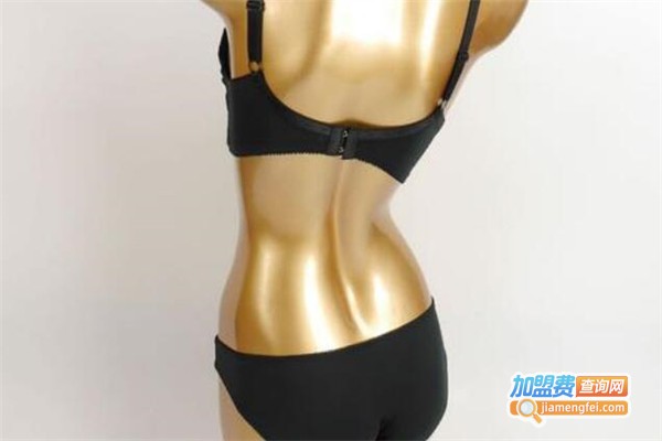 晚舒妮内衣加盟费