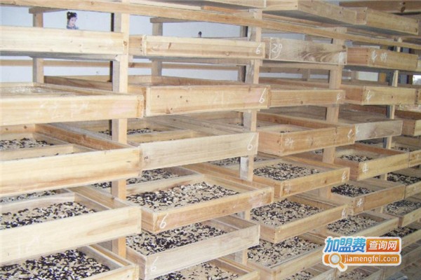 坤元8号土元加盟费