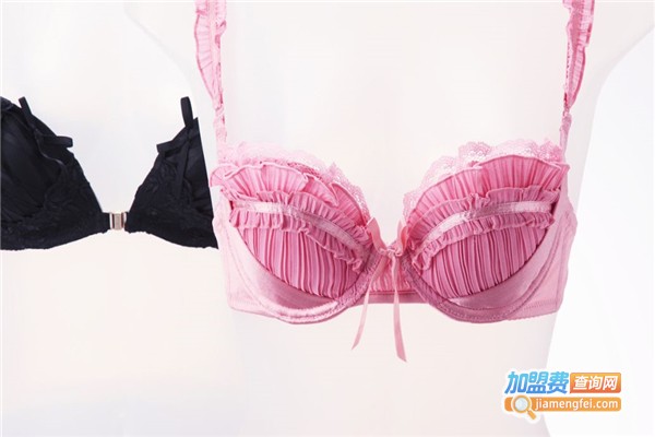 天姿娜内衣加盟费