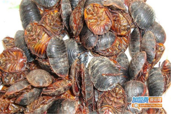 利民19号新一代药用土元加盟费