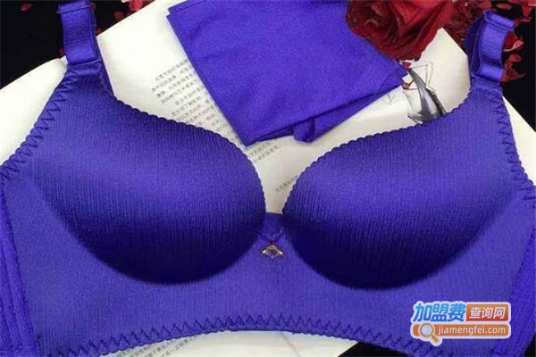 黛思兰内衣加盟费