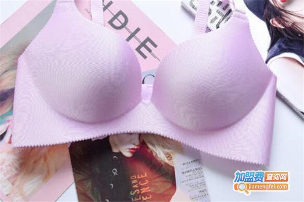 丽培内衣加盟费