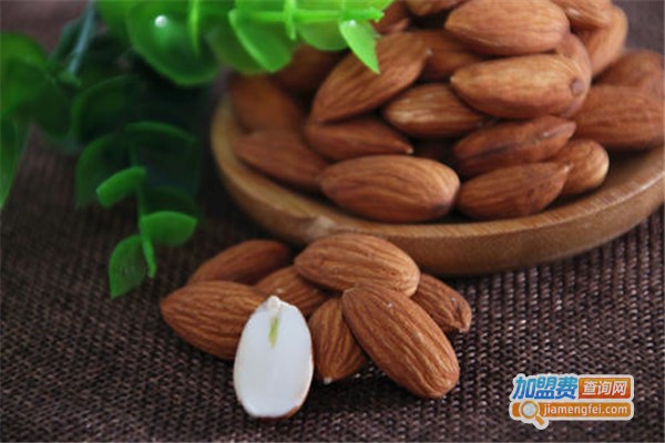 零食大人加盟费