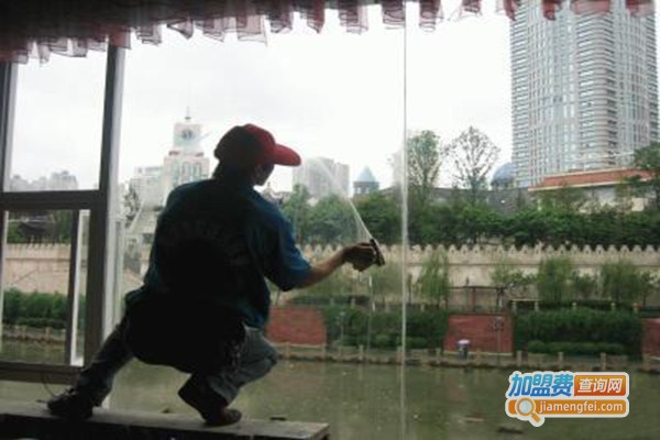 蚂蚁搬家加盟门店